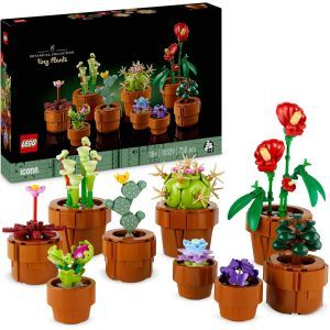Découvrez les LEGO Botanical : 11,84 € offerts pour 2 sets sur Amazon !