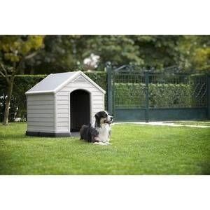 5€ de réduction dès 25€ d’achat sur une sélection animalerie chez CDiscount