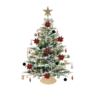 Jusqu'à 25 euros de réduction chez CDiscount