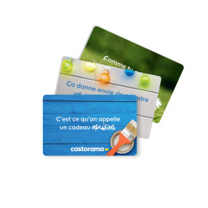Promo Castorama